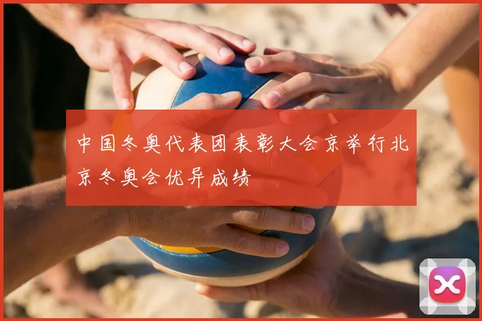 中国冬奥代表团表彰大会京举行北京冬奥会优异成绩