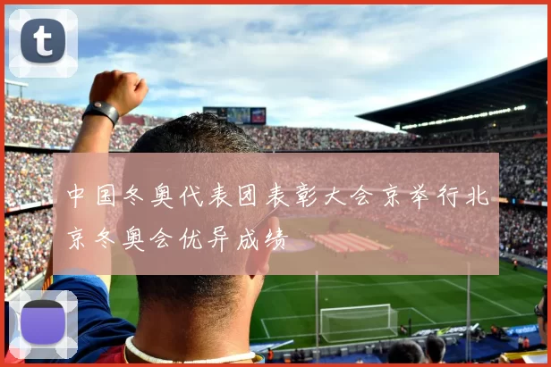 中国冬奥代表团表彰大会京举行北京冬奥会优异成绩